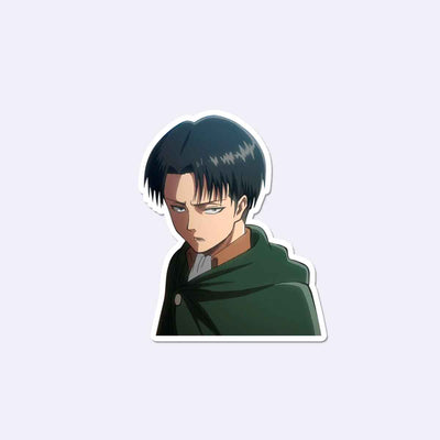 Levi Sticker